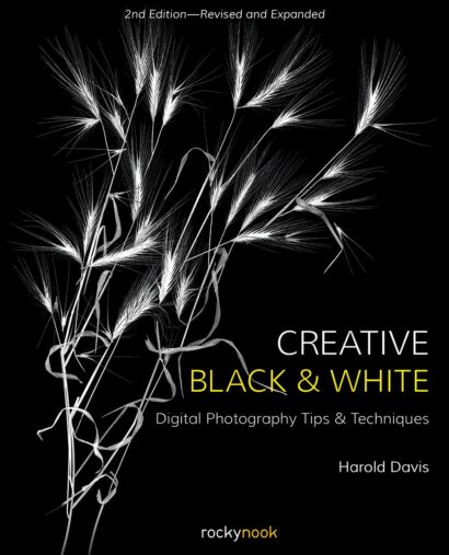 Creative Black And White - Harold Davis