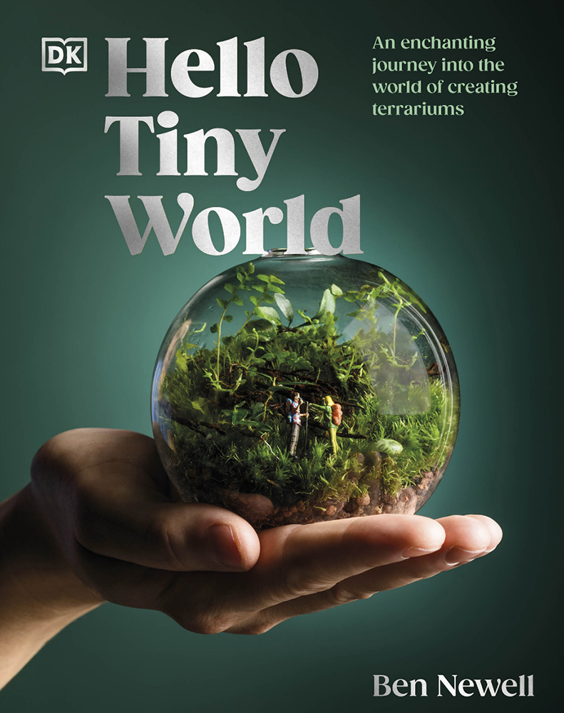 Hello Tiny World - Ben Newell